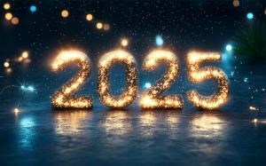 Meilleurs voeux pour 2025 !